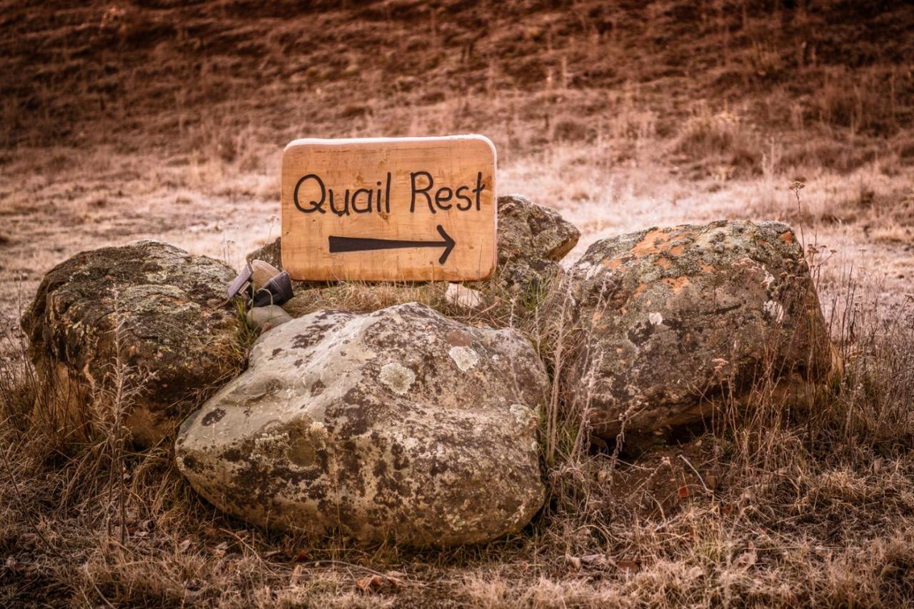 Quail Rest Villa Twizel Exterior foto